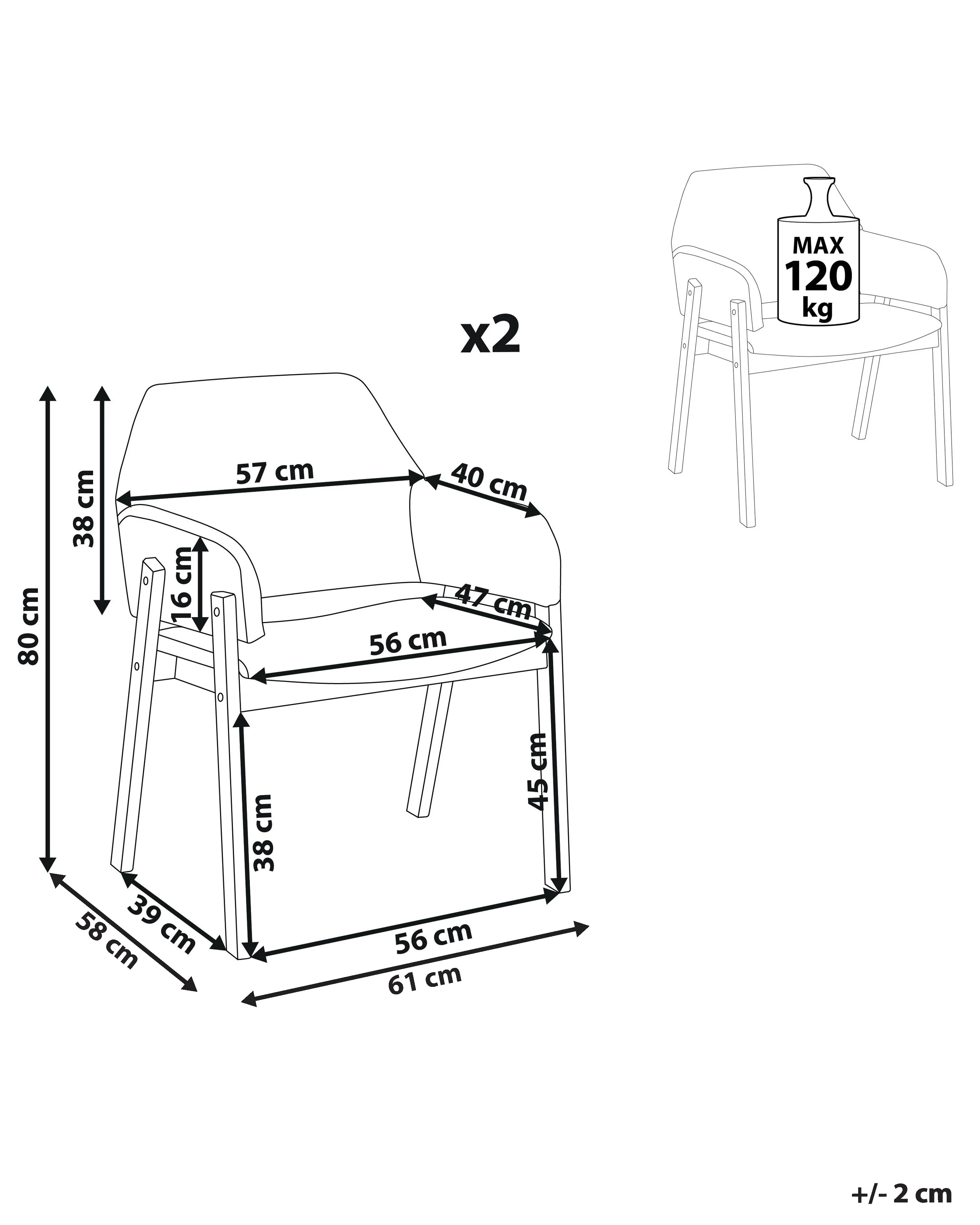 Set van 2 eetkamerstoelen ALBION Grijs