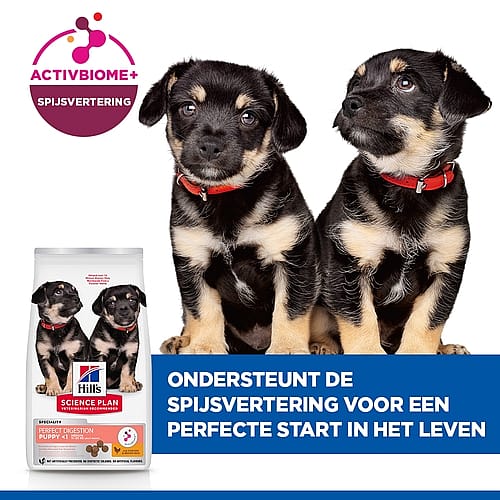 Hill's Science Plan Perfect Digestion Medium Puppyvoer Kip & Rijst | 2,5 kg | 12598