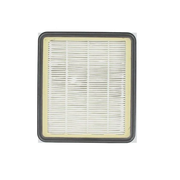 Filtre hepa pour aspirateur Hoover TopFilter