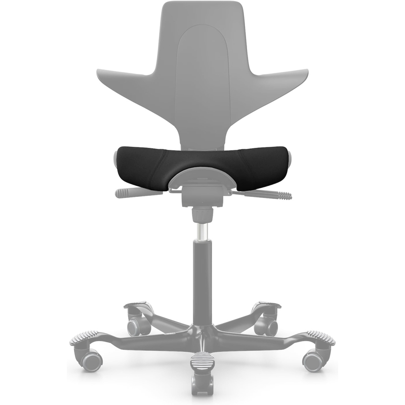HAG Sitzbezug zu Capisco 8010, schwarz