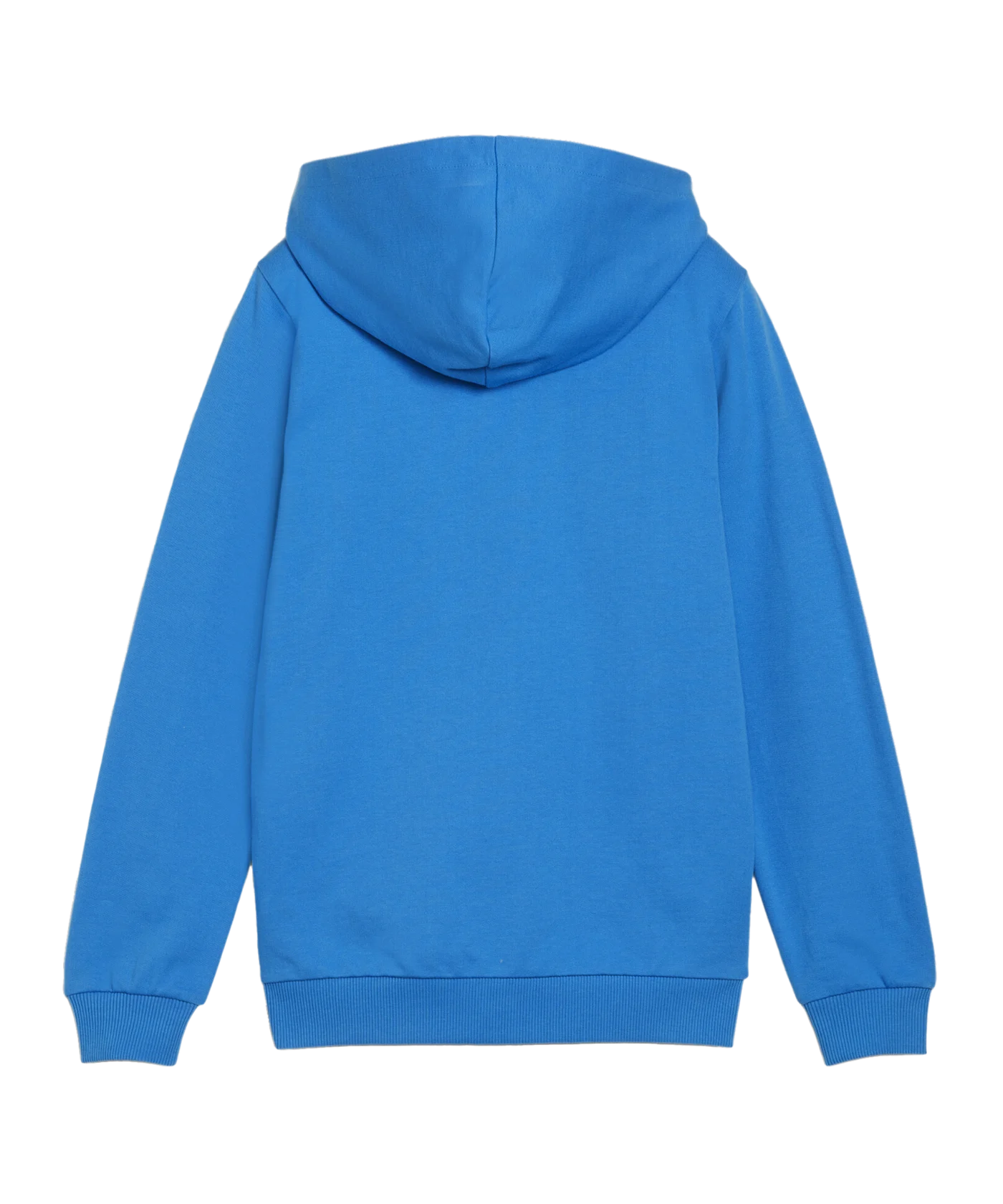 PUMA teamGOAL Casuals Kapuzenjacke Kids Blau F02