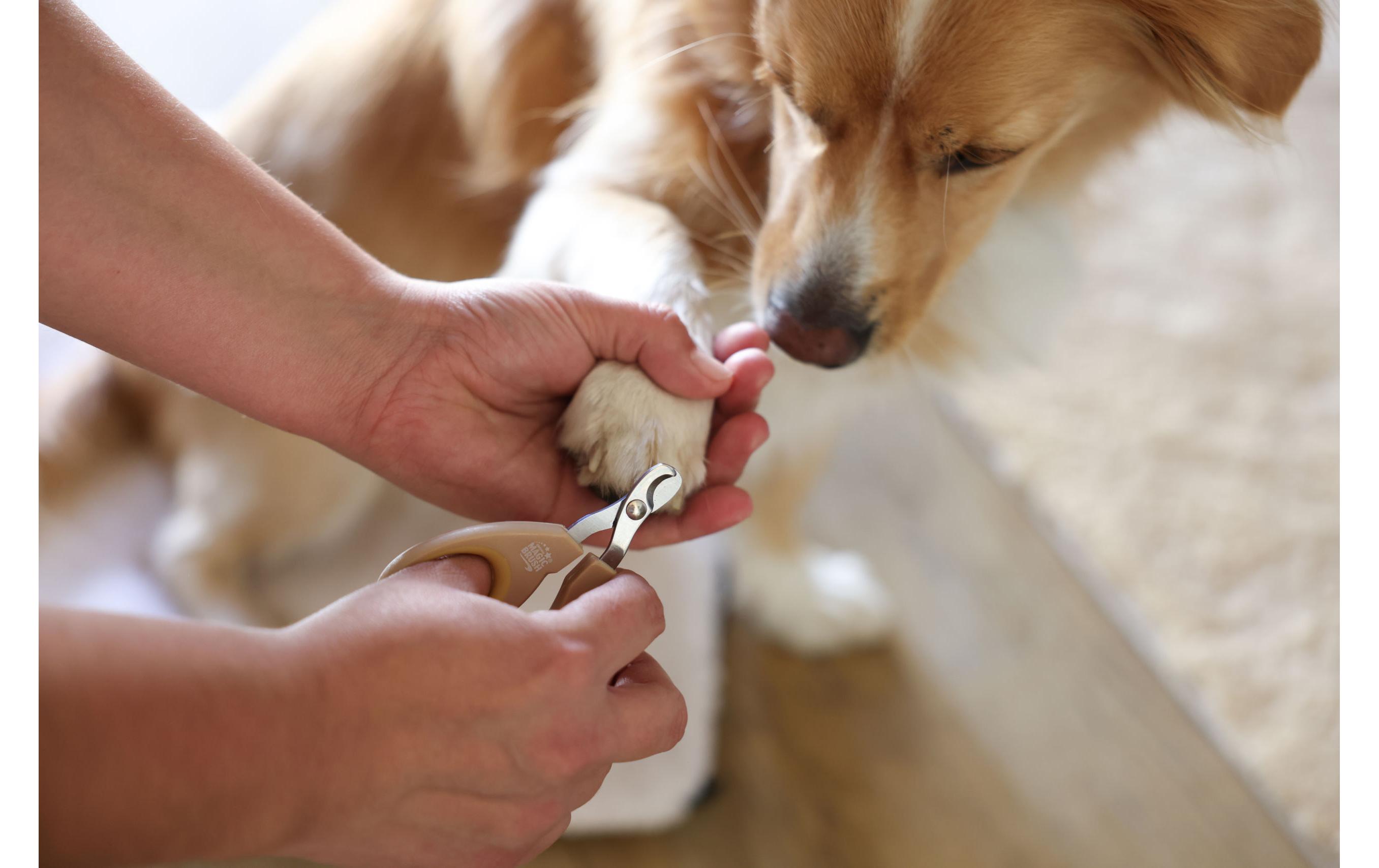 Krallenschere MagicBrushSchere zur Krallenpflege bei Hunden, Katzen und Nagetieren