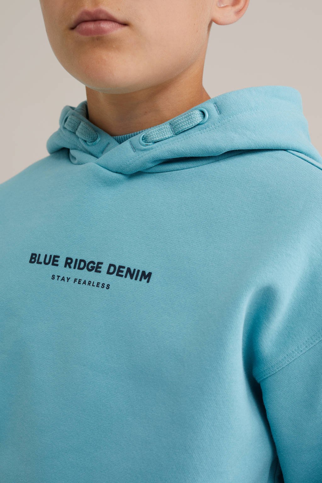 WE Fashion Blue Ridge hoodie blauw