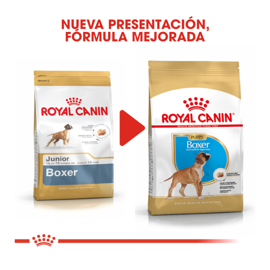 Ração Royal Canin Puppy Boxer para cães