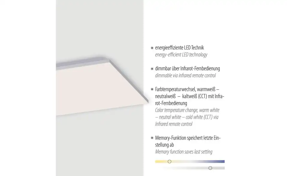 Paul Neuhaus LED Deckenleuchte