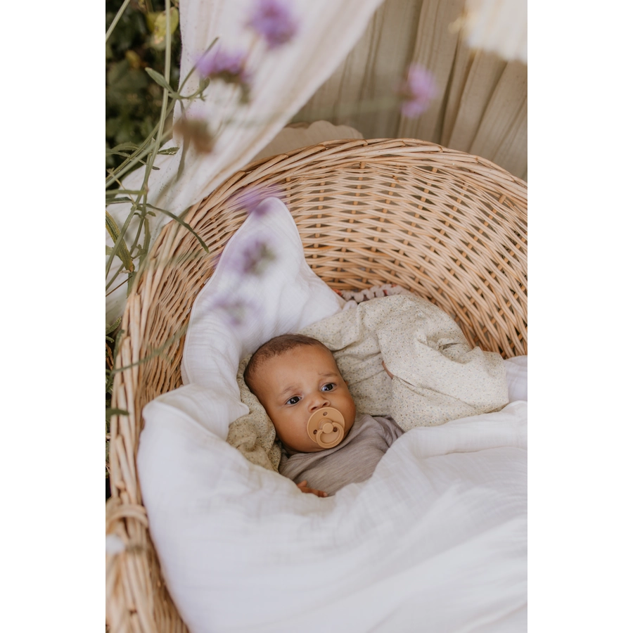 BIBS® Schnuller Colour Desert Sand & Sunshine 0-6 Monate, 2 Stk.