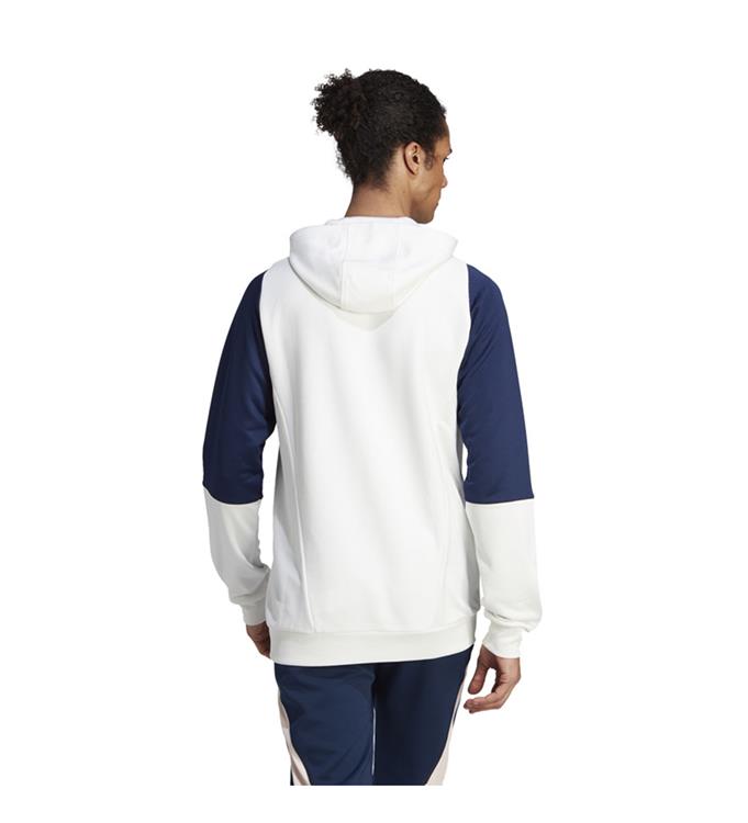 adidas Men Ajax Amsterdam Tiro 23 Hoodie 2023/2024