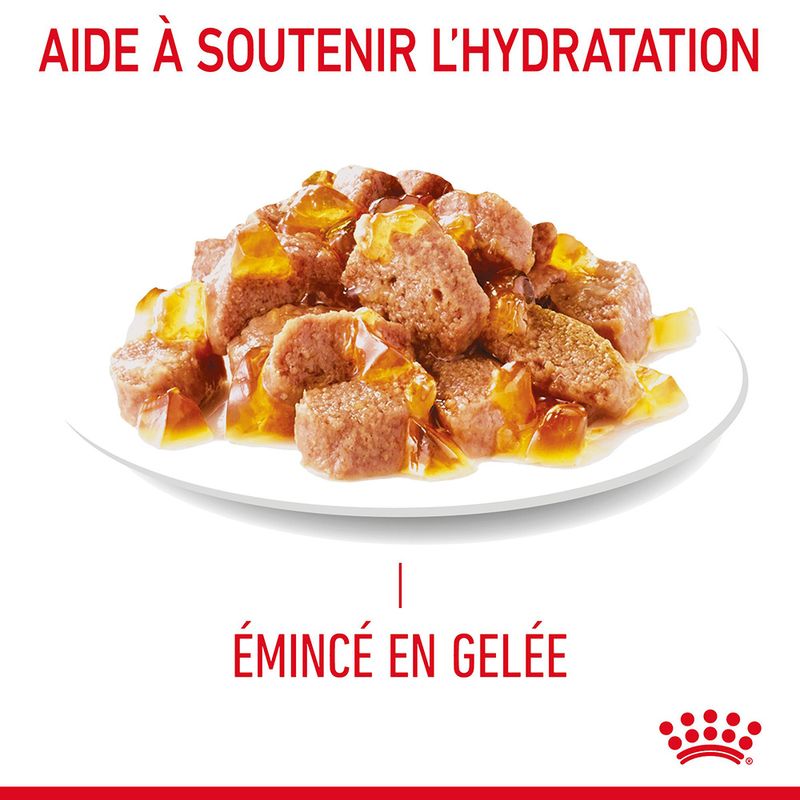 Royal Canin Light Weight Care en gelée