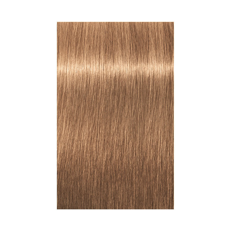 Coloration permanente Igora Royal 8-65 blond clair chocolat doré