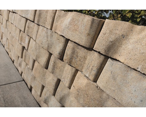 iBrixx Curve zandsteen wandblok 25 x 14/18 x 10 cm