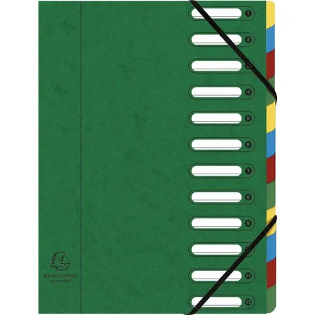 Exacompta 55123E Harmonika Ordnungsmappe, grün