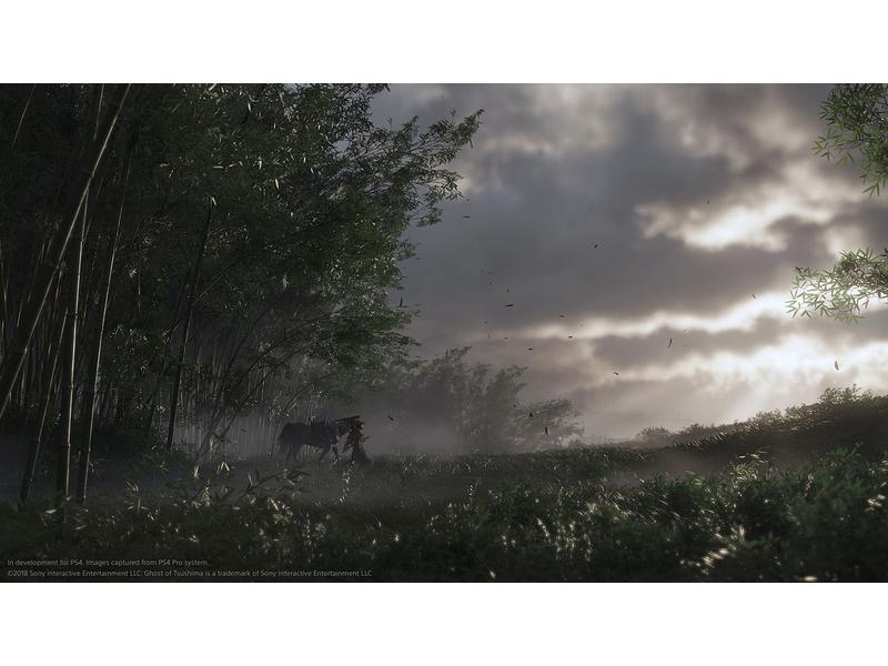 GAME Ghost of Tsushima: Director`s Cut In jeden Samurai Kampf teilnehmen