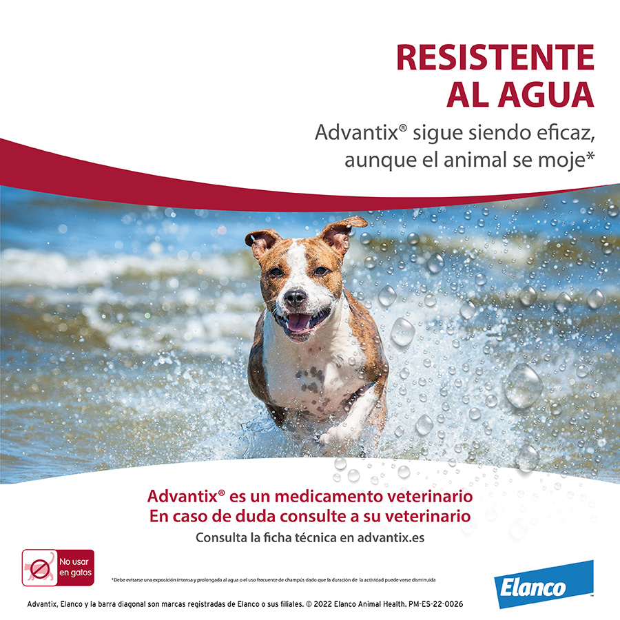 Pipetas antiparasitárias Advantix para cães
