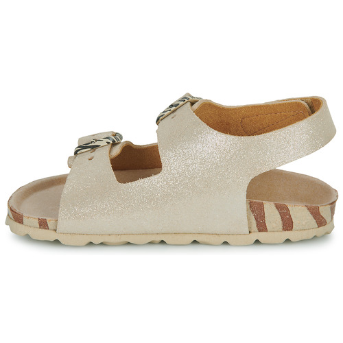 Kickers - SUNYVA - Rose