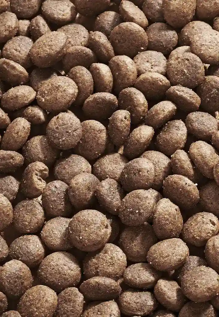 Dog Intestinal Low Fat