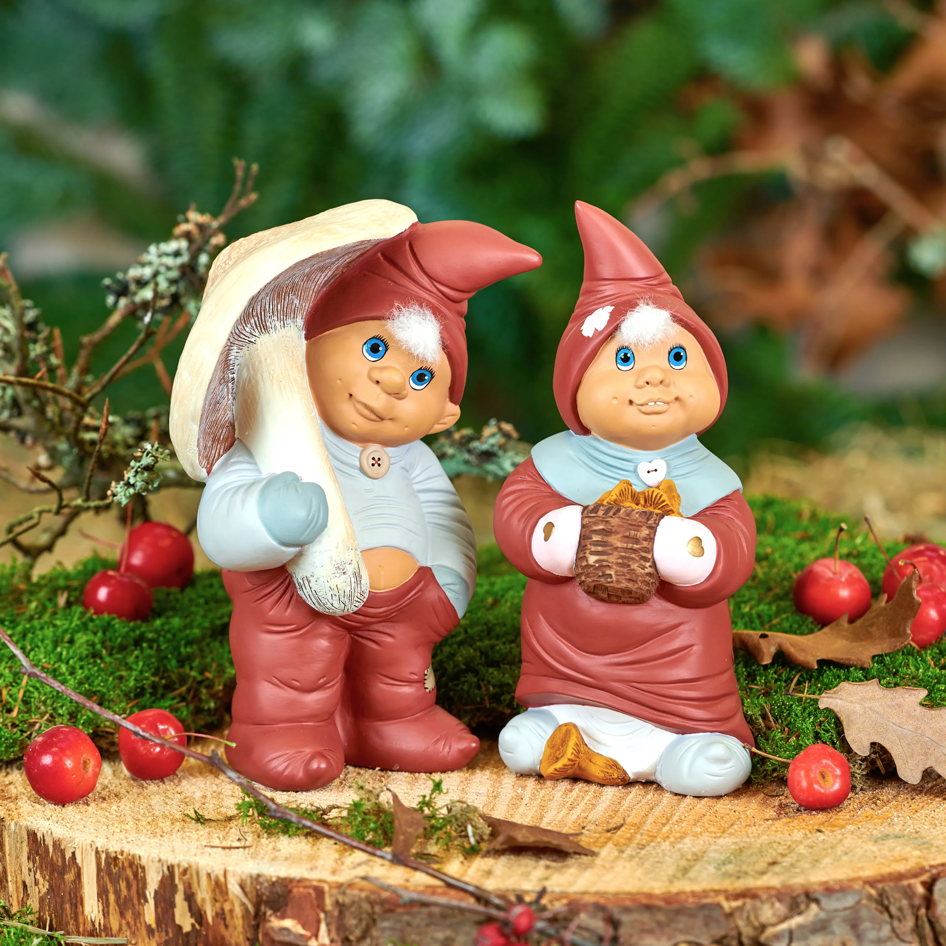 Klarborg Nisse - Vigga