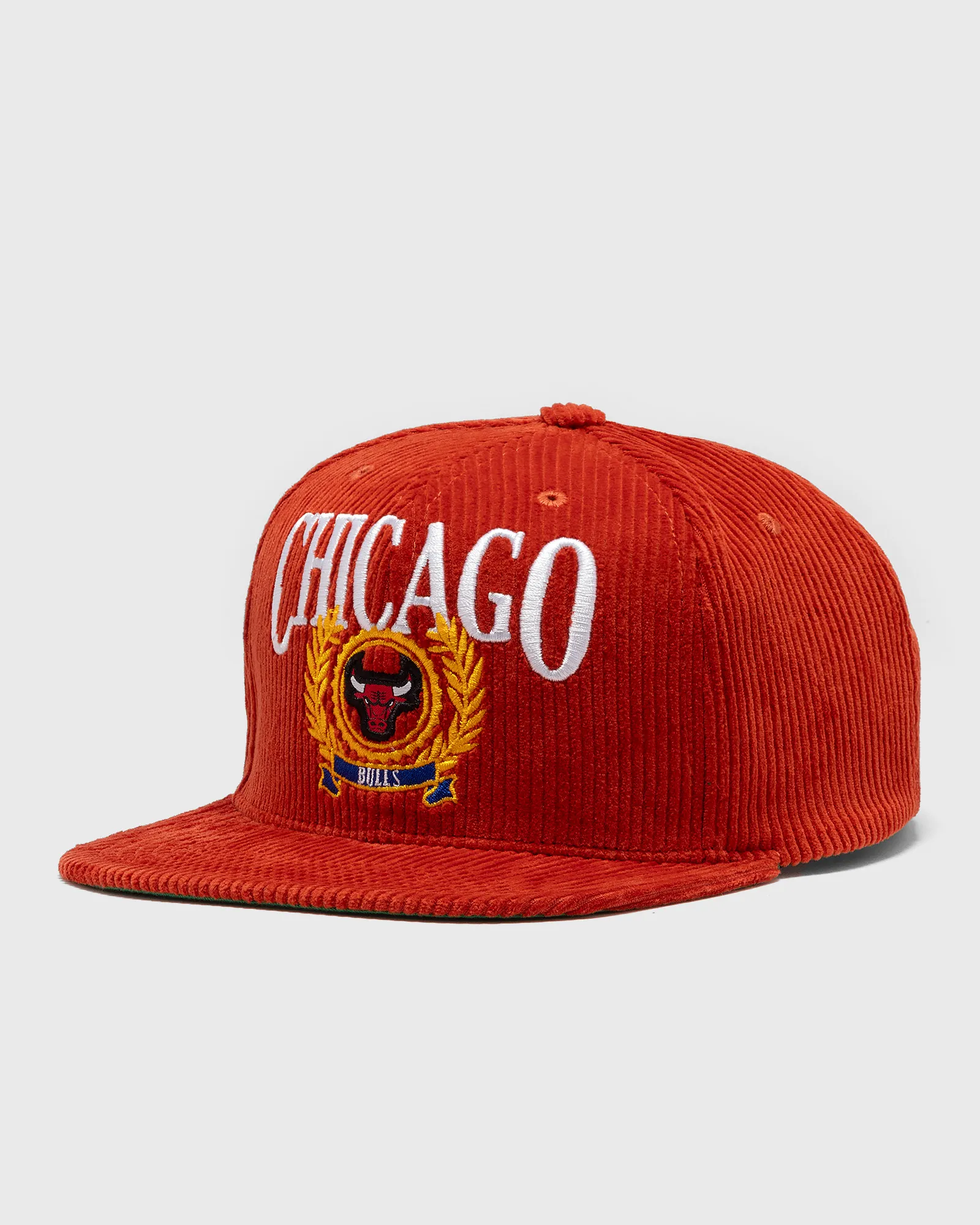 Mitchell & Ness NBA LEVELZ SNAPBACK CHICAGO BULLS