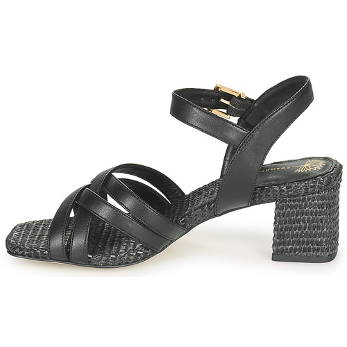 Cosmo Paris - ZAGGI-VEGRAF Negro