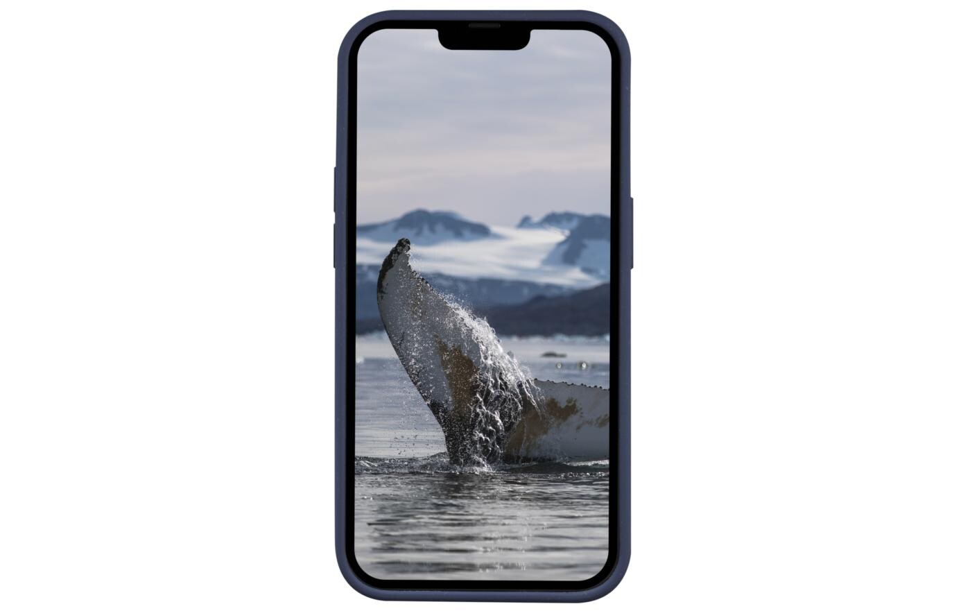 Back Cover Greenland iPhone 14 Pro BlauSchutzhülle für das Apple iPhone 14 Pro