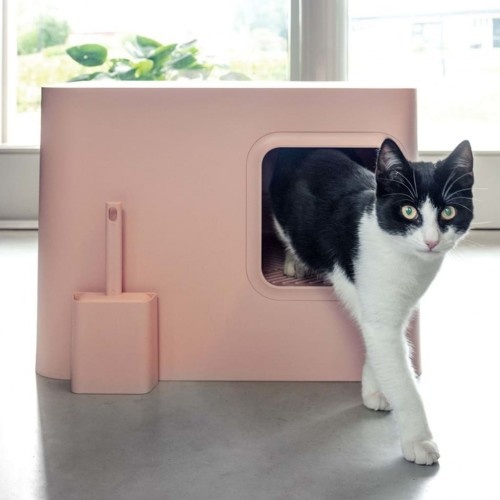 Caixa de areia rosa para gatos