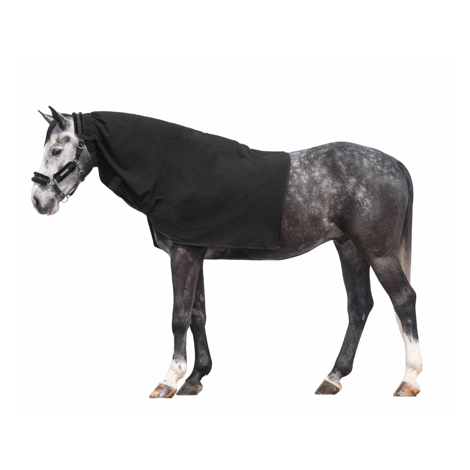 Horse-friends Halsteil  - black