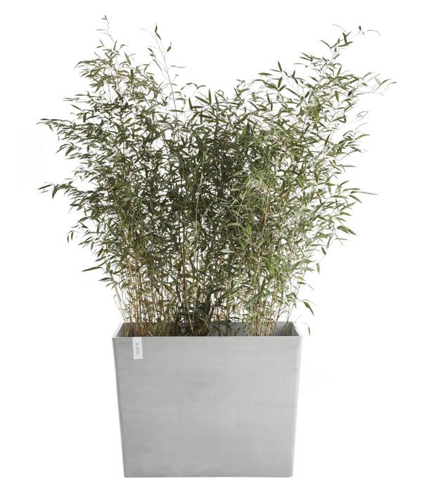 Ecopots Kunststoff-Kasten Paris mit Rollen,