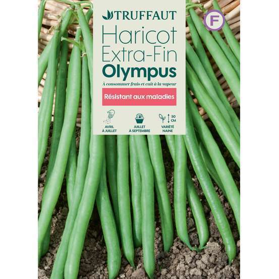 Graines de haricot nain extra-fin Olympus en boite
