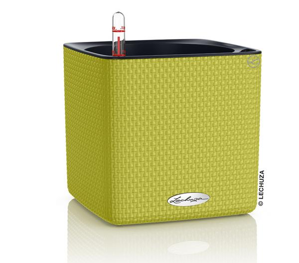 LECHUZA® CUBE Color, All-in-One Set