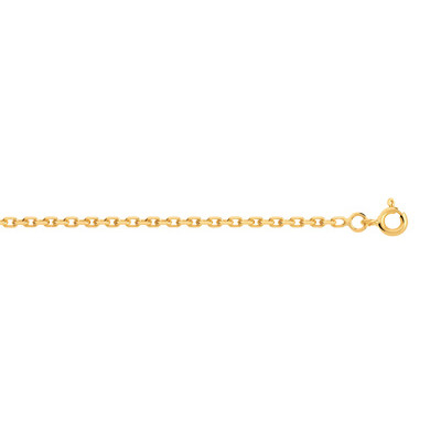 Chaîne or 750 jaune maille forçat 45 cm
