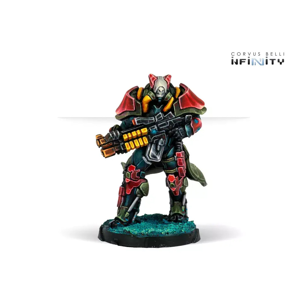 Infinity - Combined Army - Rodoks, Armed Imposition Detachment