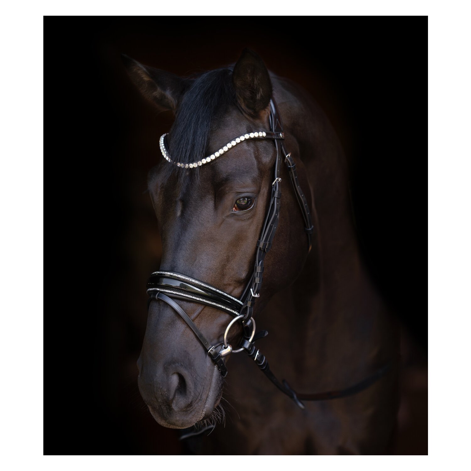 Cheval de Luxe Trensenzaum San Francisco  - schwarz
