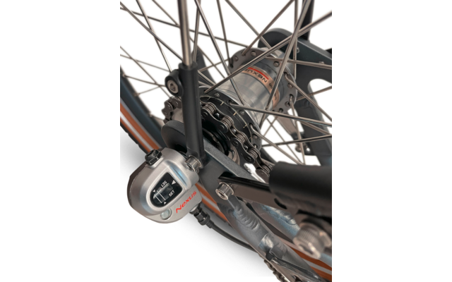 Blaupunkt Franzi faltbares E-Bike  20 Zoll 250W