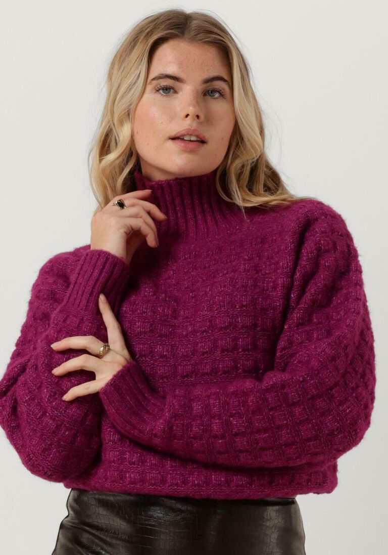 SILVIAN HEACH paarse silvian heach coltrui lupetto m/l - sweater