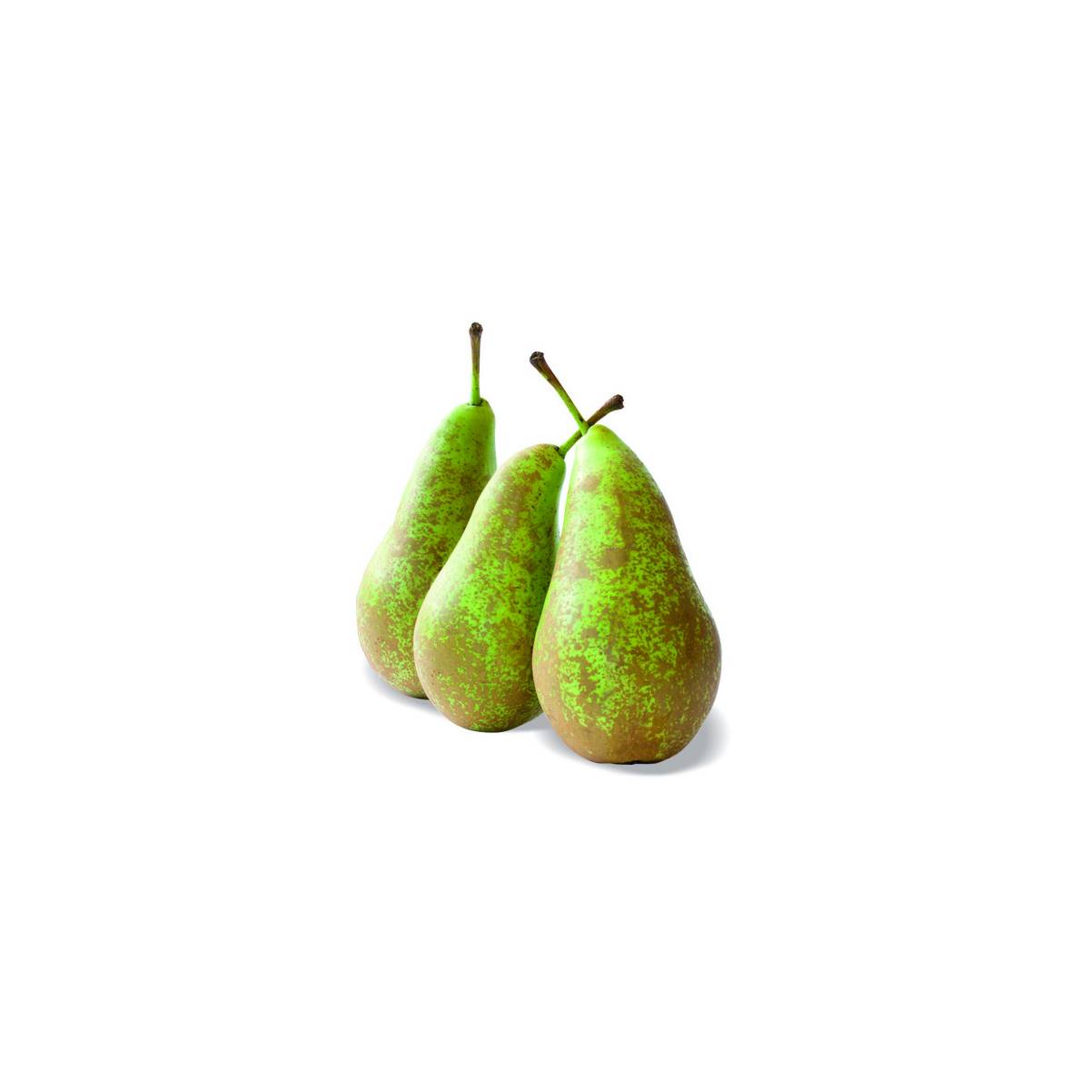 Poirier nain pearlite® - nain de jardin®/pyrus communis pearlite® - nain de jardin®[-]pot de 5l