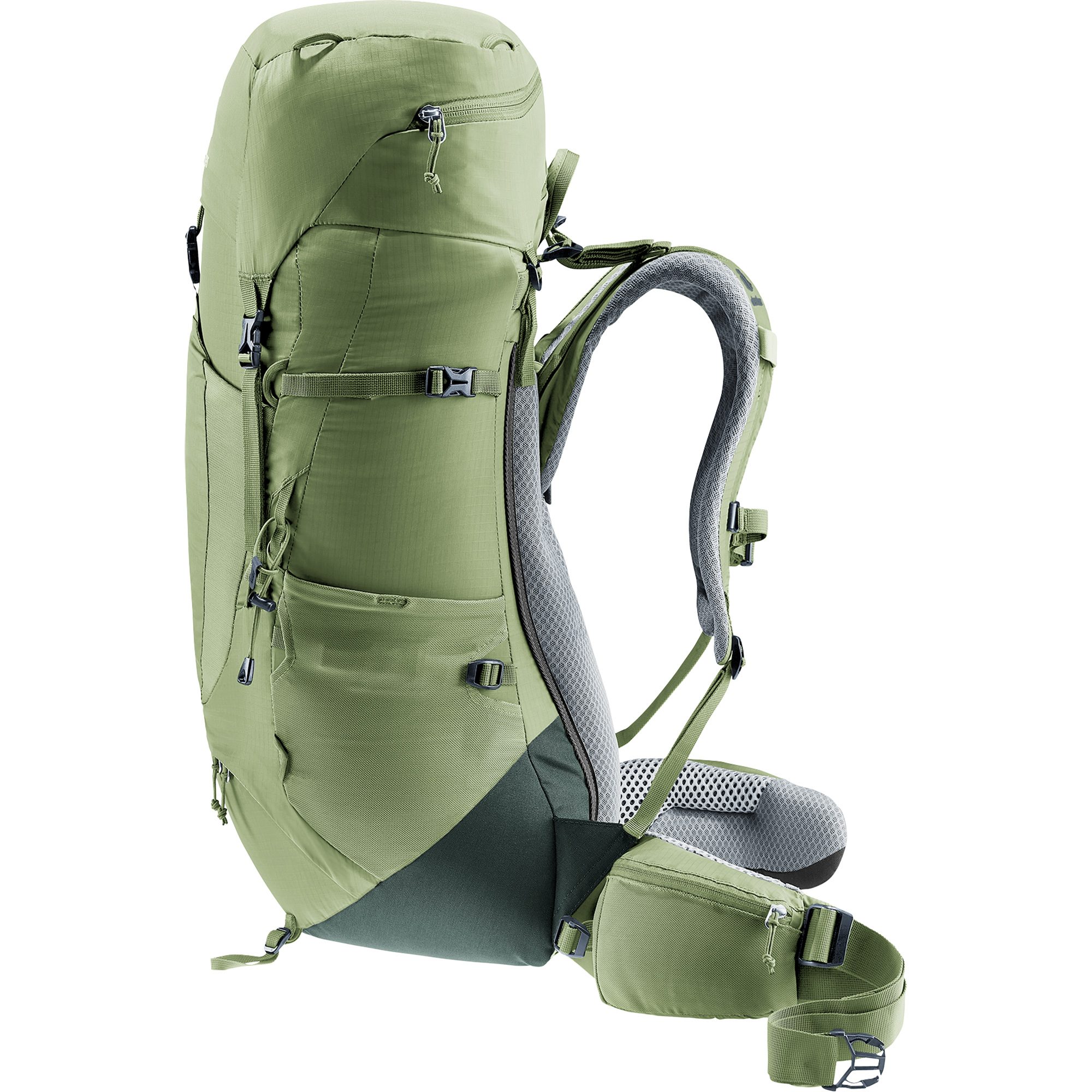 deuter Aircontact Lite 35l + 10 SL Trekkingrucksack Damen grove ivy
