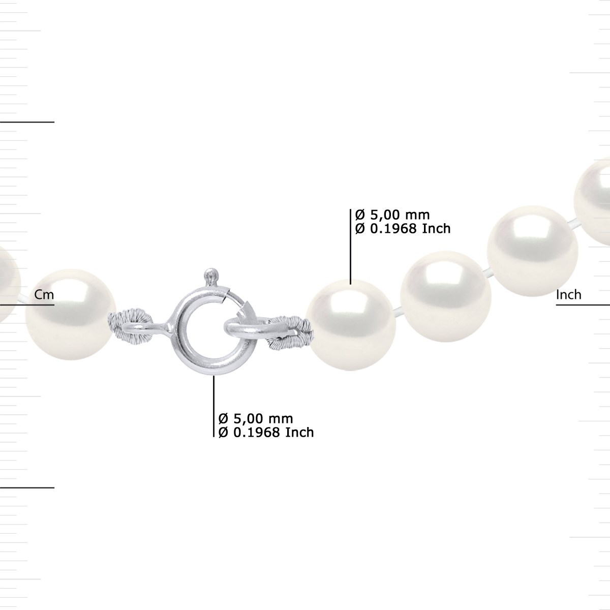 Collier Rang de Perles d'Eau Douce Blanches 5-6 mm Fermoir Argent 925