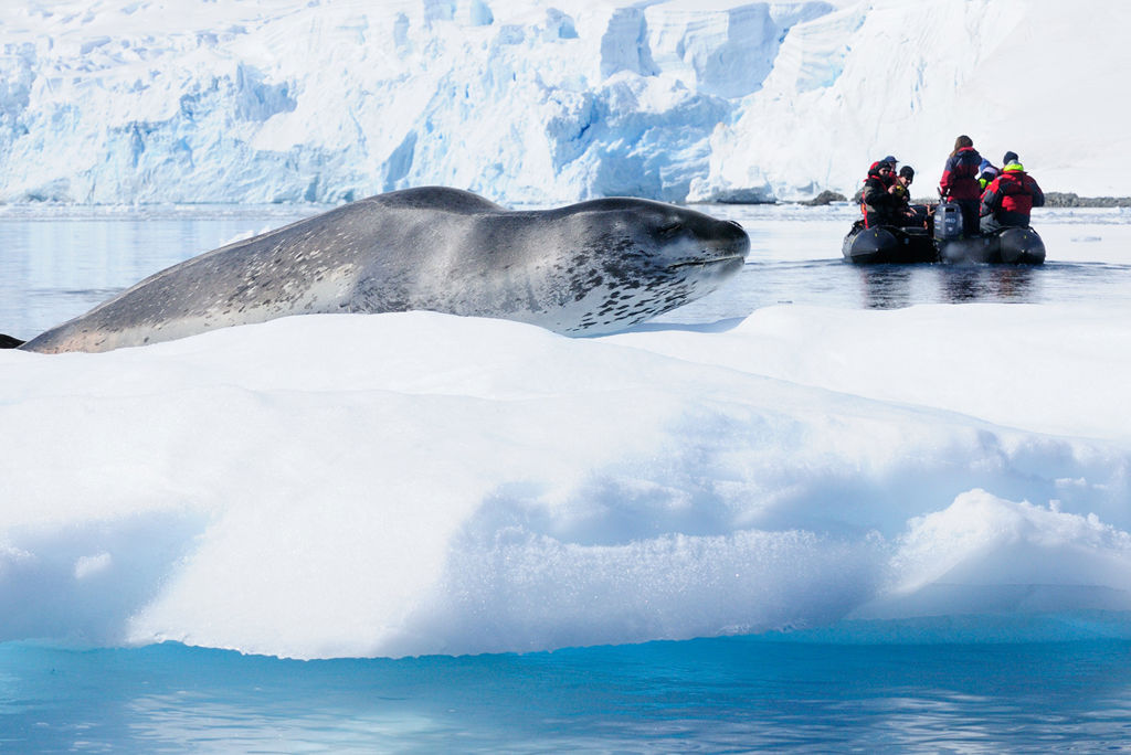 Expeditiecruise Antarctica per m/v Hondius Zie beschrijving