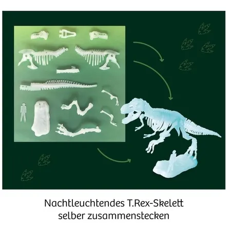KOSMOS Nachtleuchtender T-Rex International (mehrsprachig)