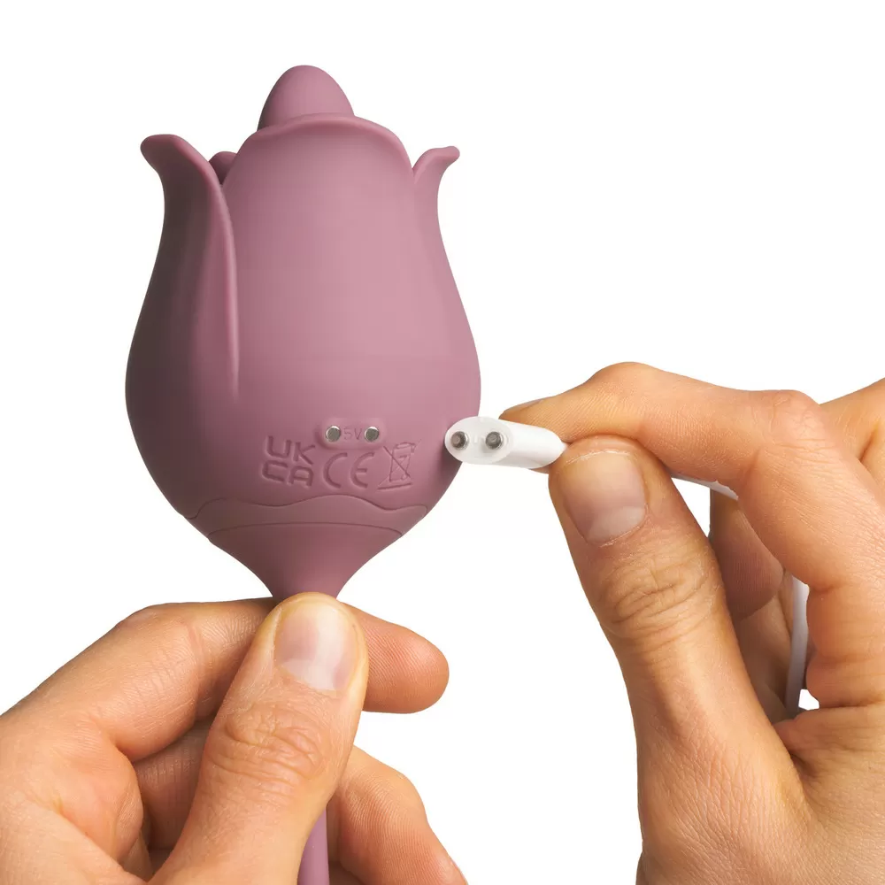 Amaysin Licking Rose & Egg Vibrator