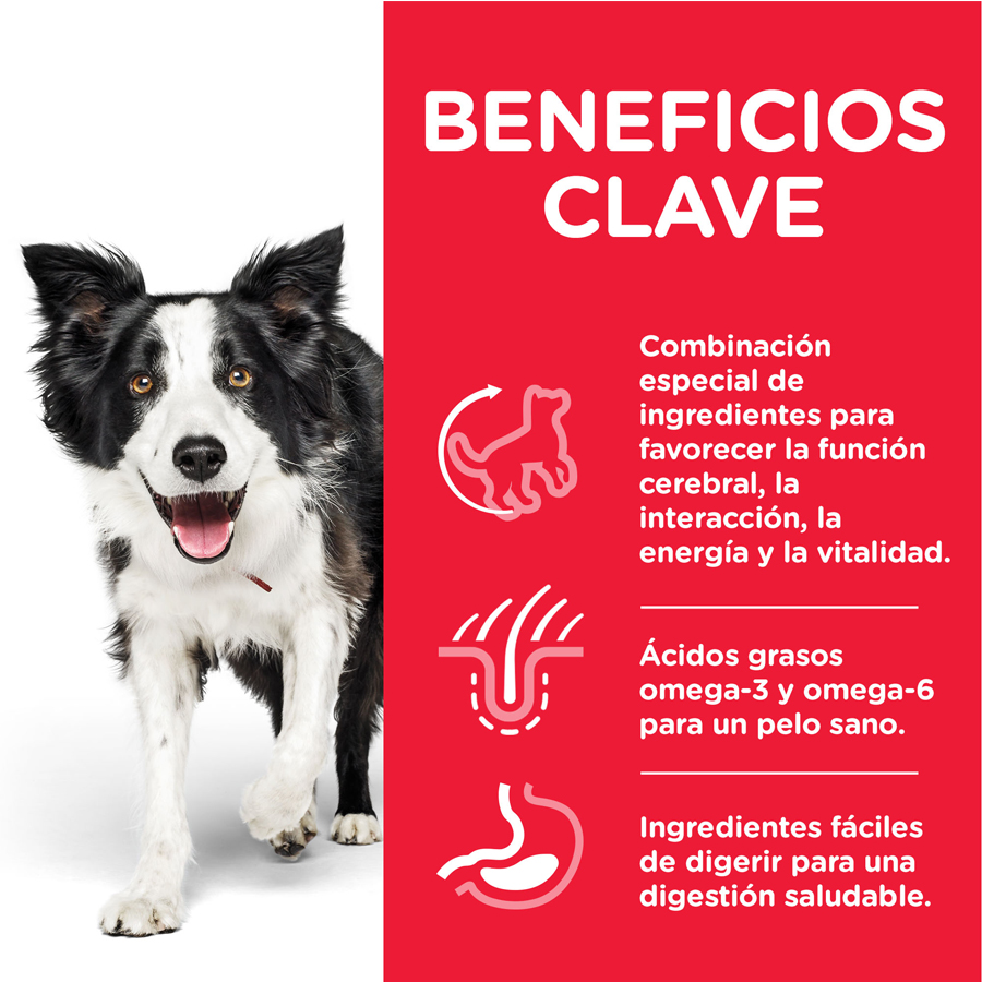Hill's Science Plan Youthful Vitality Médio Adulto Frango para cachorros