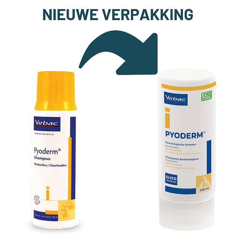 Pyoderm shampoo 200 ml