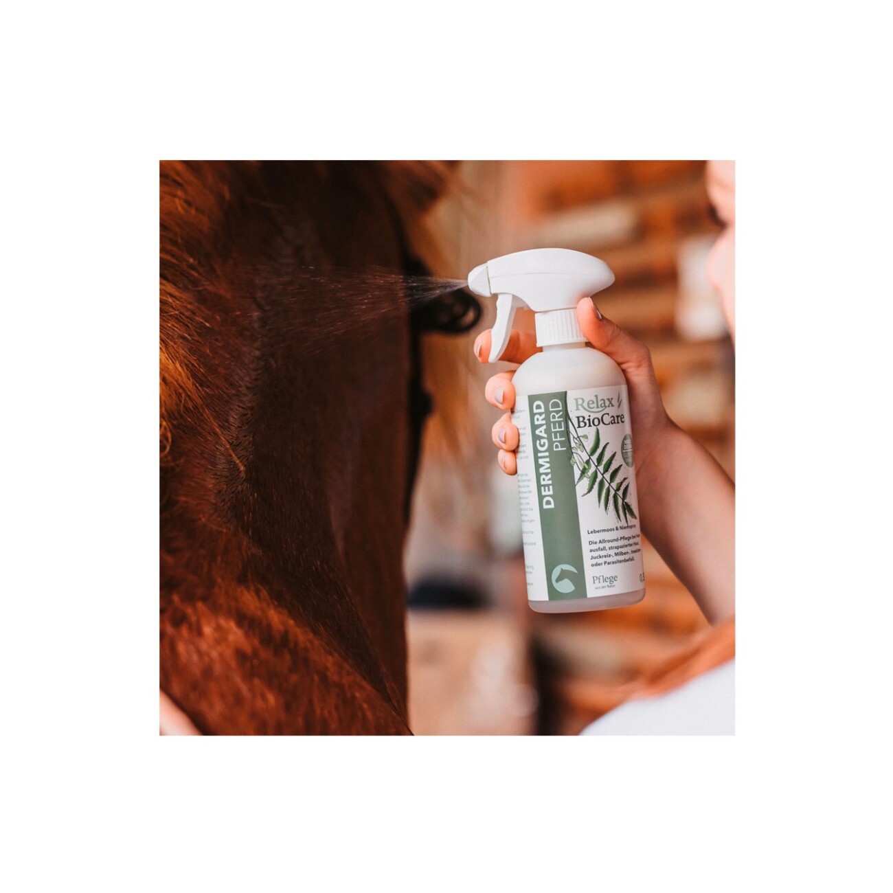 Relax-Biocare Hautpflege Dermigard 1l