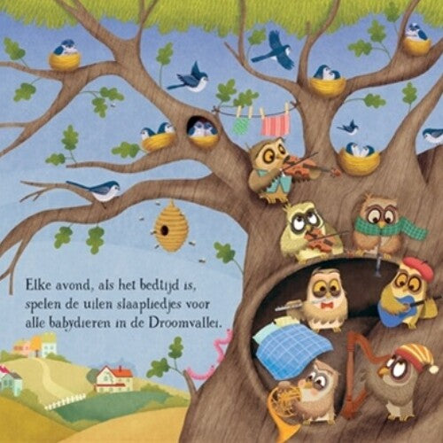 Uitgeverij usborne muziekboek lekker slapen