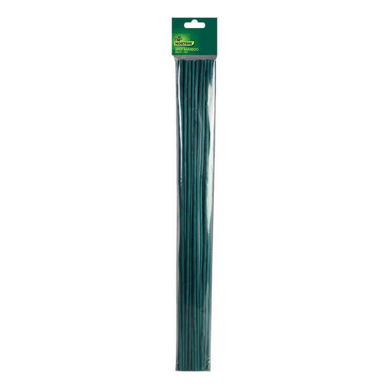 Tuteur Bambou vert 60 cm X 25
