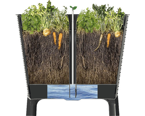 Keter Easy Growing verhoogde tuinbak op palen, 114 x 49,3 x 75,7 cm, antraciet