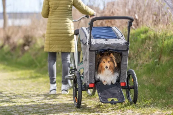 Trixie Bicycle trailer, S: 64 × 92 × 80/130 cm, grey/sage