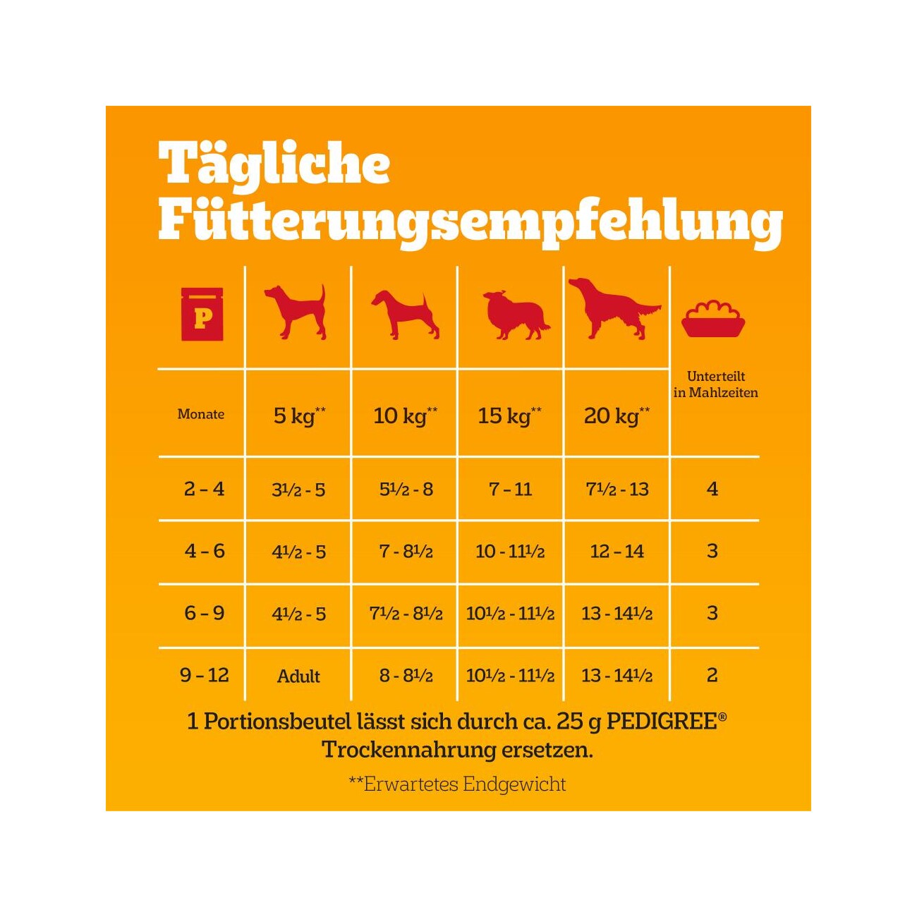 Pedigree Nassfutter Hund Junior, Multipack, Gemischte Selektion, in Gelee 12x100 g