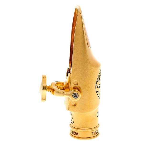 Theo Wanne Gaia IV Alto 8 Metal