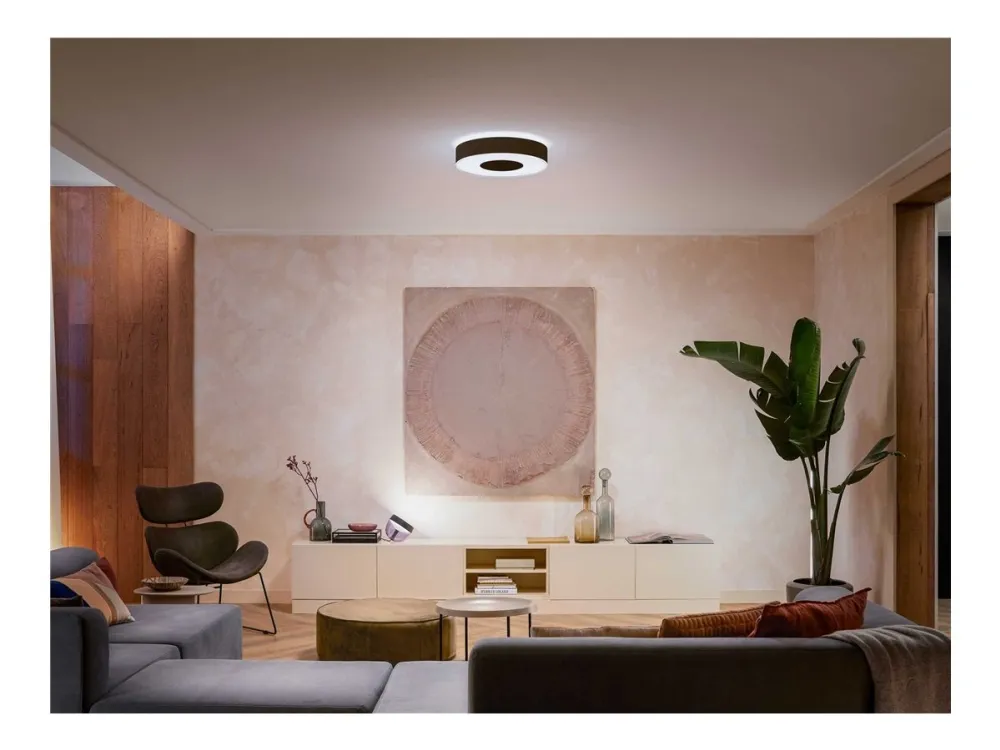 Philips Hue White and Color Ambiance Infuse M - Loftslampe - LED - 33.5 W - klasse G - 2000-6500 K - sort