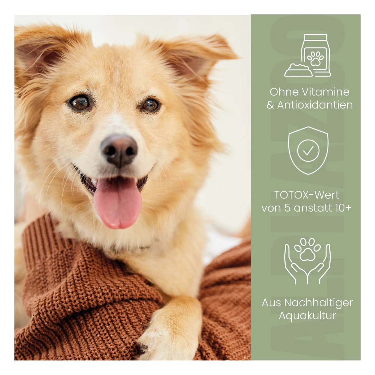 ALPHAZOO Premium Lachsöl für Hunde & Katzen I Natürliches Omega-3 Fischöl 250 ml